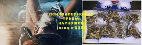 винт Аркадак