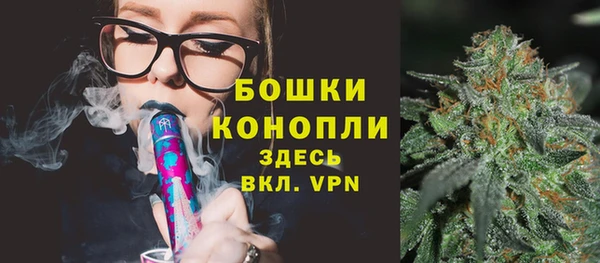 амф Арсеньев