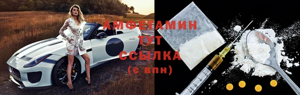 амф Арсеньев